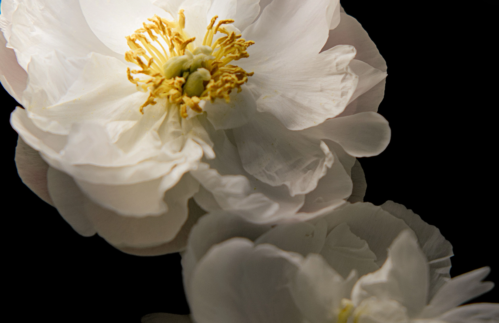 Fashion photography in Warsaw, Poland